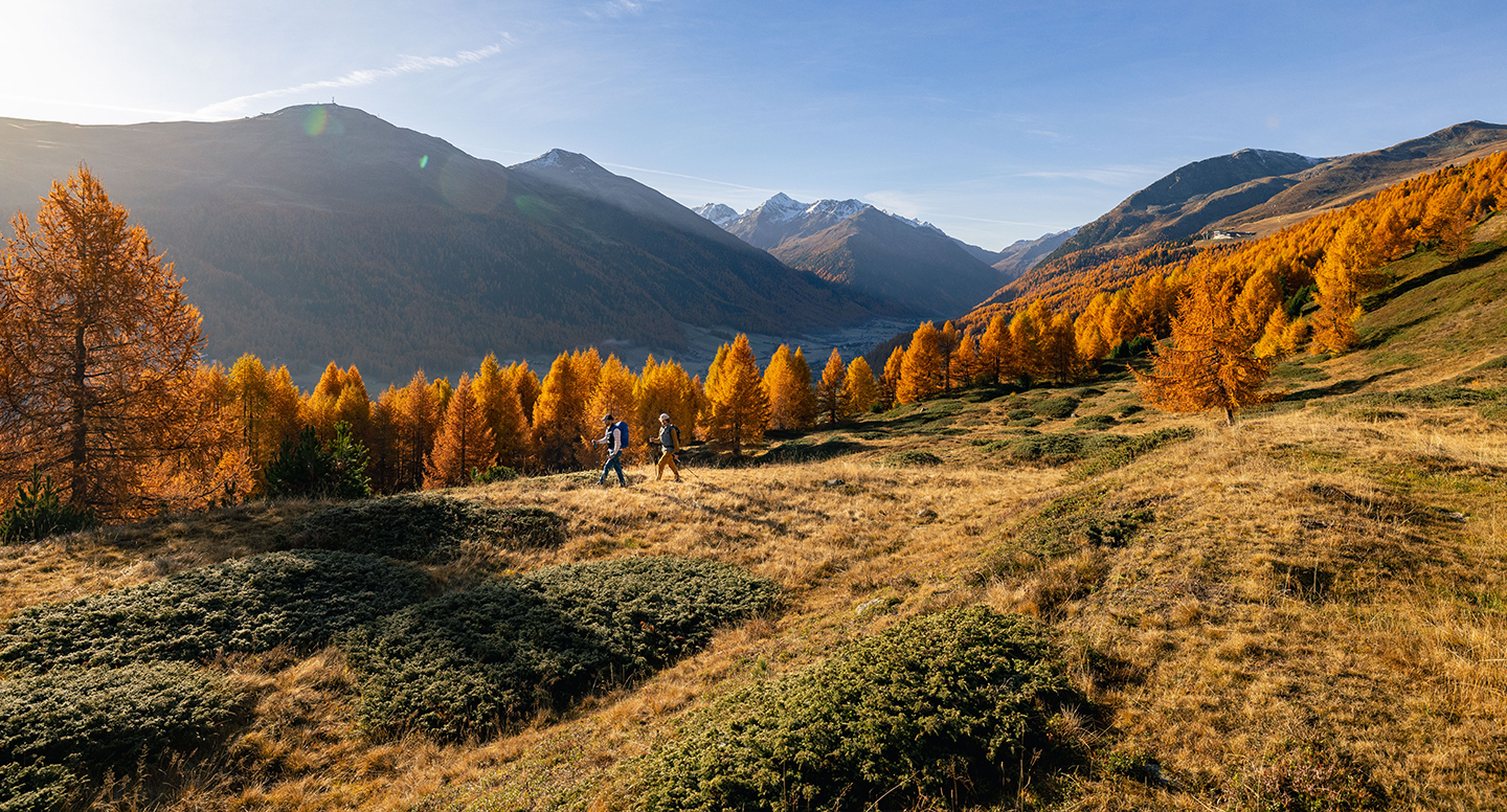 Sabato 24 Ottobre - Immersi nel Foliage – La Merenda di una Volta