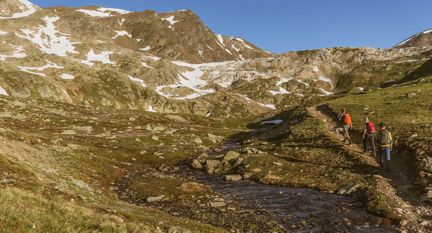 Escursione Difficile: Piz Cotschen