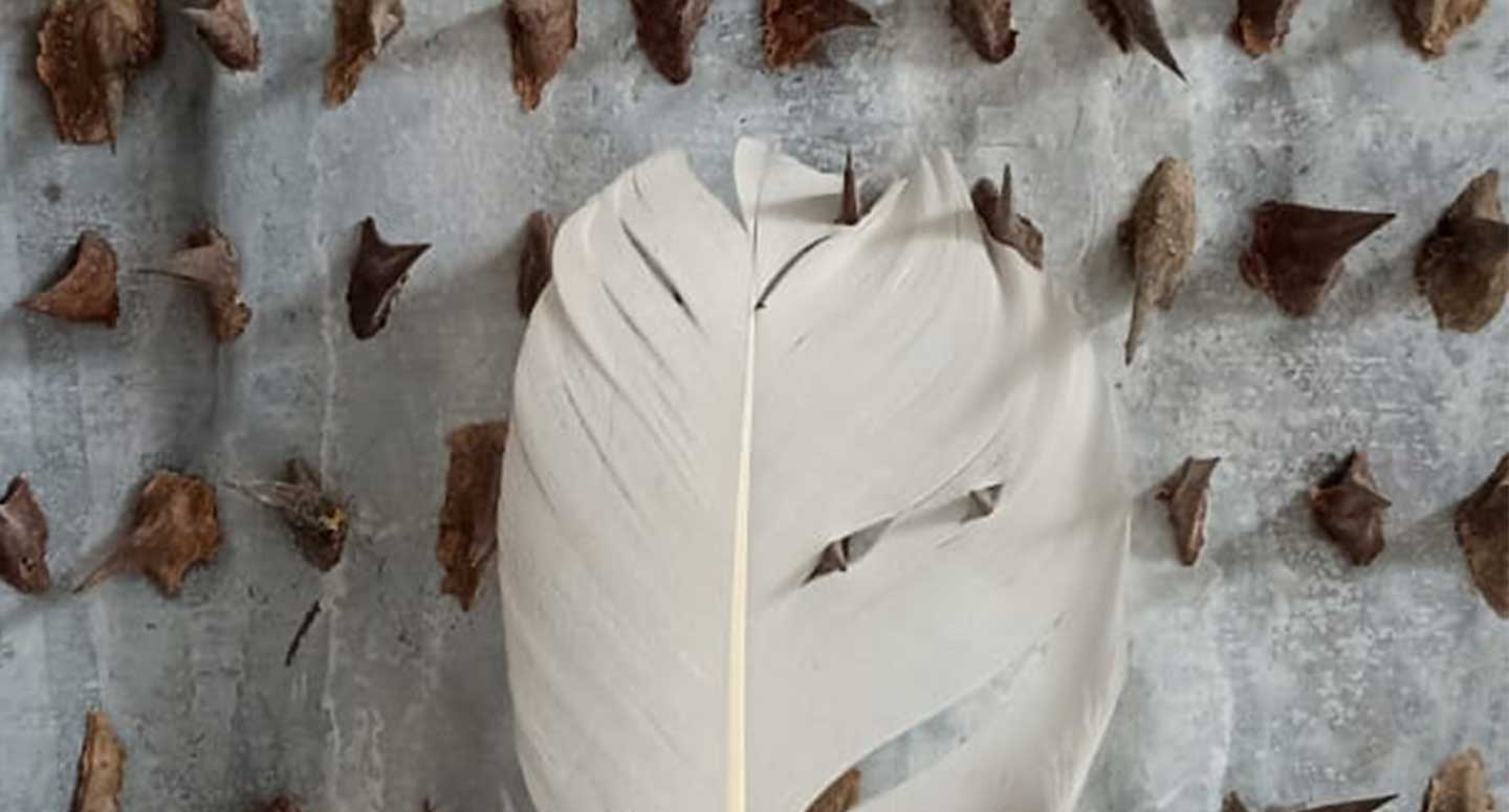 Creiamo con la natura - con l'artista Ilaria Locati 