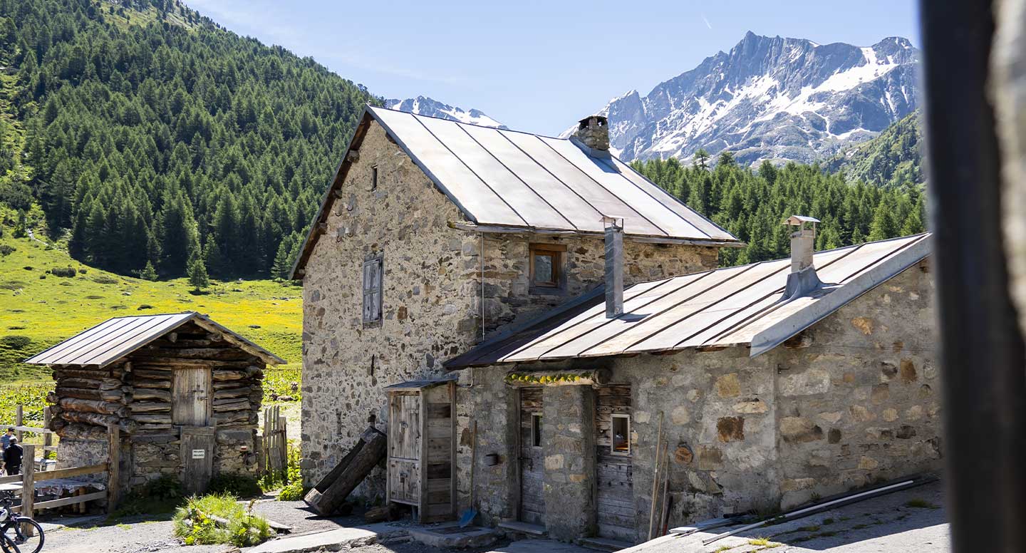 Visita Guidata Alpe Vago + Cena
