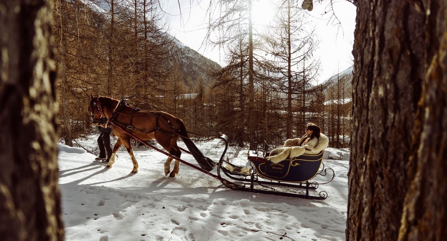 Livigno in slitta