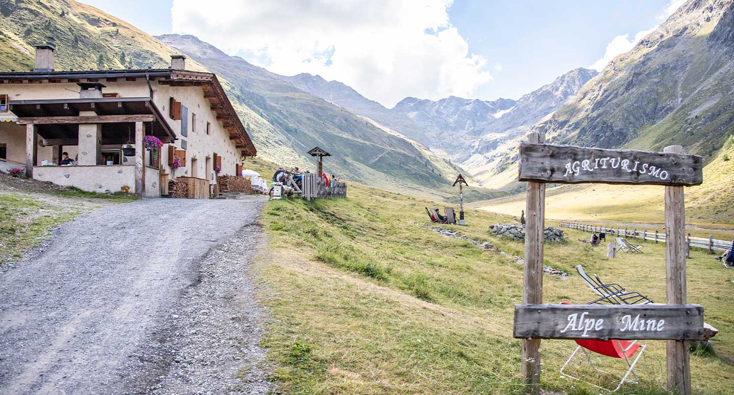 Visita Guidata Alpe Mine + Cena 