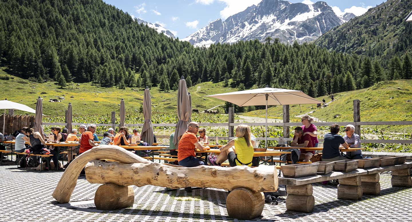 Visita Guidata Alpe Vago + Degustazione